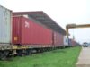 San Luis despachó alfalfa a Brasil y movilizó 397 toneladas de maní para exportación