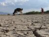 Caymes propone un fondo para enfrentar desastres y aliviar la carga fiscal de los productores de San Luis