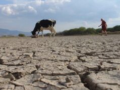 Caymes propone un fondo para enfrentar desastres y aliviar la carga fiscal de los productores de San Luis