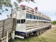 Transportar cuesta cada vez más: los costos de los camiones subieron 30,3% en nueve meses
