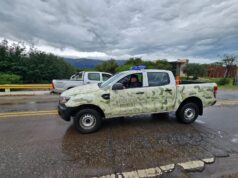 Grave denuncia por inseguridad rural en San Martín: faltante de ganado y un nuevo episodio dentro del campo