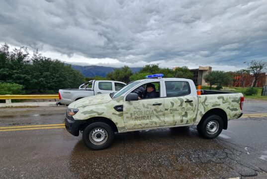 Grave denuncia por inseguridad rural en San Martín: faltante de ganado y un nuevo episodio dentro del campo