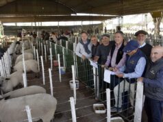 La Expo Rural dejó ventas de hasta $2,15 millones en reproductores ovinos y porcinos