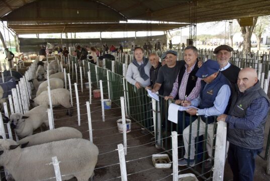 La Expo Rural dejó ventas de hasta $2,15 millones en reproductores ovinos y porcinos