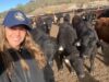 Feedlot Santa Rita: la confianza abre la puerta y la rentabilidad marca la decisión