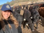 Feedlot Santa Rita: la confianza abre la puerta y la rentabilidad marca la decisión