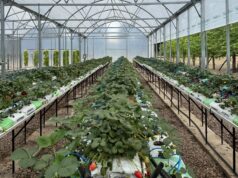 ‘San Luis Intensiva’ contará con jornadas educativas y tecnológicas en el Vivero de Sol Puntano