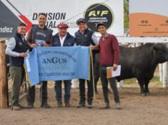 Cabaña La Pasión celebró en la Expo Rural San Luis los premios que coronan años de esfuerzo