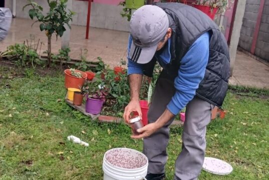 Continúan los operativos para erradicar la mosca de los frutos en Luján