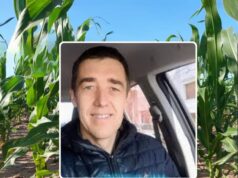 Gustavo Thiessen: “La baja densidad es un aliado muy importante para producir maíz en zonas marginales”