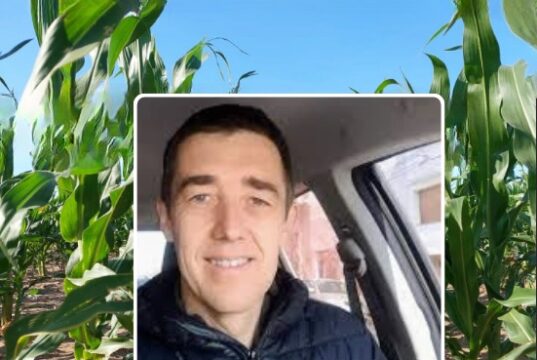 Gustavo Thiessen: “La baja densidad es un aliado muy importante para producir maíz en zonas marginales”