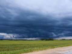 Evento Climático El Niño 2026-2027: nuevo apartado en la Web de Agricultura
