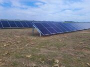Energía solar para regar: una alternativa para campos sin acceso a la red eléctrica