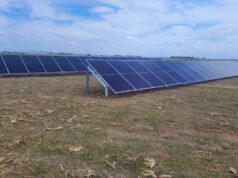 Energía solar para regar: una alternativa para campos sin acceso a la red eléctrica