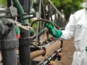 La Facultad de Agronomía de la UBA dictará un curso gratuito sobre el uso seguro de fitosanitarios