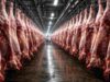 Señales de estabilización de la oferta global de carne vacuna y un Brasil bajo fuerte presión comercial