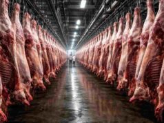 Señales de estabilización de la oferta global de carne vacuna y un Brasil bajo fuerte presión comercial