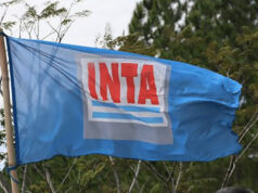 El desfinanciamiento del INTA: qué se pone en jaque y qué podría pasar