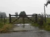 La Angelina lideró las lluvias de la primera quincena en San Luis con 154,8 milímetros