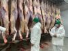 Frigoríficos a dos velocidades: crece la faena exportadora y se desploma la destinada al mercado interno