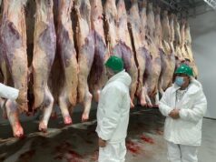 Frigoríficos a dos velocidades: crece la faena exportadora y se desploma la destinada al mercado interno